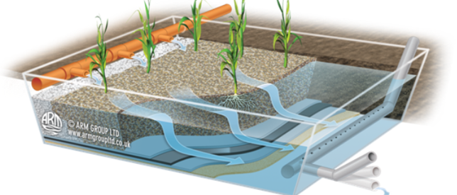 Humedales aireados – Ecolagunas – Depuración de aguas con humedales